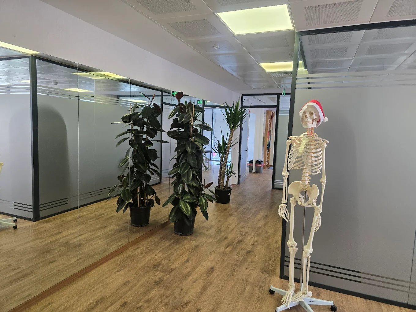 Klinik egzersiz çalışma alanı